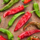 25 Seeds Sandia Hot Pepper Garden Vegetables Planting Edible Food Fresh For Garden 25 Seeds Sandia Hot Pepper Garden Vegetables Planting Edible Food Fresh For Garden