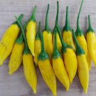 25 Seeds Lemon Drop Pepper Garden Vegetables Planting Edible Food Fresh For Garden 25 Seeds Lemon Drop Pepper Garden Vegetables Planting Edible Food Fresh For Garden