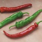 25 Seeds Arapaho Pepper Garden Vegetables Planting Edible Food Fresh For Garden