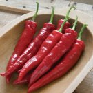 25 Seeds Cayenne Chile Pepper Garden Vegetables Planting Edible Food Fresh For Garden 25 Seeds Cayenne Chile Pepper Garden Vegetables Planting Edible Food Fresh For Garden