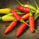25 Seeds Tabasco Pepper Garden Vegetables Planting Edible Food Fresh For Garden 25 Seeds Tabasco Pepper Garden Vegetables Planting Edible Food Fresh For Garden