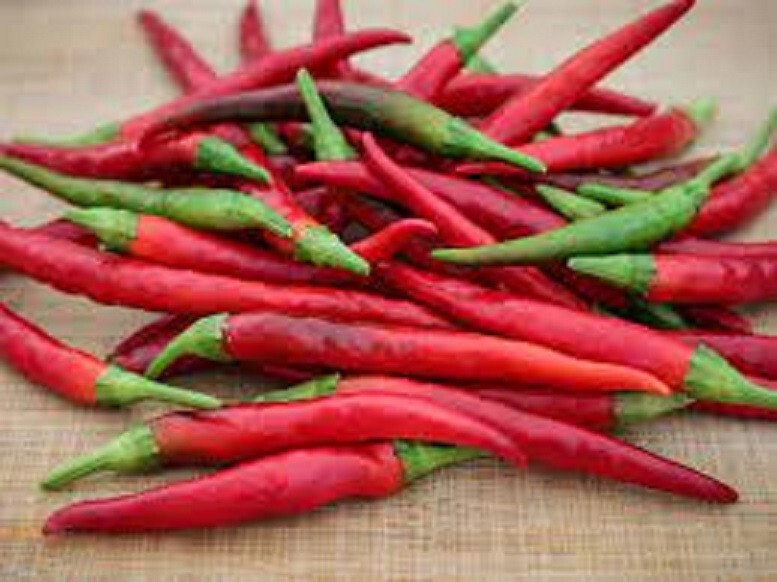 25 Seeds Yatsufa Pepper Garden Vegetables Planting Edible Food Fresh For Garden