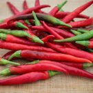 25 Seeds Yatsufa Pepper Garden Vegetables Planting Edible Food Fresh For Garden