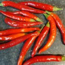 25 Seeds Thadragon Pepper Garden Vegetables Planting Edible Food Fresh For Garden
