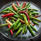 25 Seeds Thapepper Garden Vegetables Planting Edible Food Fresh For Garden 25 Seeds Thapepper Garden Vegetables Planting Edible Food Fresh For Garden