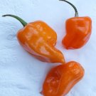 25 Seeds Habanero Orange Pepper Garden Vegetables Planting Edible Food Fresh For Garden