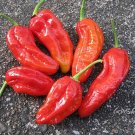 25 Seeds Spanish Naga Pepper Garden Vegetables Planting Edible Food Fresh For Garden