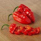 25 Seeds Komodo Dragon Pepper Garden Vegetables Planting Edible Food Fresh For Garden