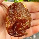 25 Seeds 7 Pot Brown Pepper Garden Vegetables Planting Edible Food Fresh For Garden