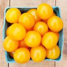 50 Seeds Esterina Tomato Juicy Tomatoe Vegetable Garden Edible Food Fresh For Garden