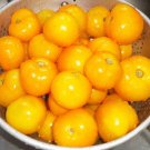 50 Seeds Emmy Tomato Juicy Tomatoe Vegetable Garden Edible Food Fresh For Garden 50 Seeds Emmy Tomato Juicy Tomatoe Vegetable Garden Edible Food Fresh For Garden