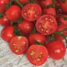 50 Seeds Ella Bella Tomato Juicy Tomatoe Vegetable Garden Edible Food Fresh For Garden