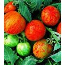 50 Seeds Elberta Girl Tomato Juicy Tomatoe Vegetable Garden Edible Food Fresh For Garden