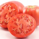 50 Seeds Early Wonder Tomato Juicy Tomatoe Vegetable Garden Edible Food Fresh For Garden