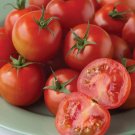 50 Seeds Early Treat Tomato Juicy Tomatoe Vegetable Garden Edible Food Fresh For Garden