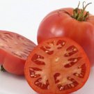 50 Seeds Earls Faux Tomato Juicy Tomatoe Vegetable Garden Edible Food Fresh For Garden