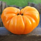 50 Seeds Dr Wyches Yellow Tomato Juicy Tomatoe Vegetable Garden Edible Food Fresh For Garden 50 Seeds Dr Wyches Yellow Tomato Juicy Tomatoe Vegetable Garden Edible Food Fresh For Garden