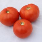 50 Seeds Dixie Red Tomato Juicy Tomatoe Vegetable Garden Edible Food Fresh For Garden