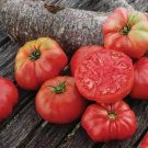 50 Seeds Dester Tomato Juicy Tomatoe Vegetable Garden Edible Food Fresh For Garden