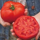50 Seeds Crista Tomato Juicy Tomatoe Vegetable Garden Edible Food Fresh For Garden