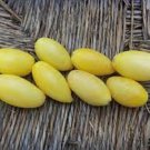 50 Seeds Cream Saage Tomato Juicy Tomatoe Vegetable Garden Edible Food Fresh For Garden