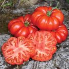 50 Seeds Costoluto Genovese Tomato Juicy Tomatoe Vegetable Garden Edible Food Fresh For Garden