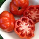 50 Seeds Costoluto Fiorentino Tomato Juicy Tomatoe Vegetable Garden Edible Food Fresh For Garden