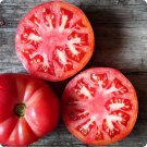50 Seeds Cosmonaut Volkov Red Tomato Juicy Tomatoe Vegetable Garden Edible Food Fresh For Garden 50 Seeds Cosmonaut Volkov Red Tomato Juicy Tomatoe Vegetable Garden Edible Food Fresh For Garden