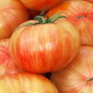 50 Seeds Copia Tomato Juicy Tomatoe Vegetable Garden Edible Food Fresh For Garden