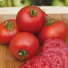 50 Seeds Cloudy Day Tomato Juicy Tomatoe Vegetable Garden Edible Food Fresh For Garden 50 Seeds Cloudy Day Tomato Juicy Tomatoe Vegetable Garden Edible Food Fresh For Garden