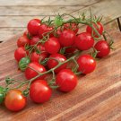 50 Seeds Christmas Grapes Tomato Juicy Tomatoe Vegetable Garden Edible Food Fresh For Garden 50 Seeds Christmas Grapes Tomato Juicy Tomatoe Vegetable Garden Edible Food Fresh For Garden