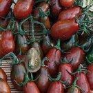 50 Seeds Chocolate Pear Tomato Juicy Tomatoe Vegetable Garden Edible Food Fresh For Garden
