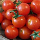 50 Seeds Cherry Sweetie Tomato Juicy Tomatoe Vegetable Garden Edible Food Fresh For Garden