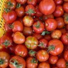 50 Seeds Cherry Brandywine Tomato Juicy Tomatoe Vegetable Garden Edible Food Fresh For Garden