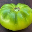 50 Seeds Cherokee Green Tomato Juicy Tomatoe Vegetable Garden Edible Food Fresh For Garden