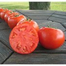 50 Seeds Chancha Tomato Juicy Tomatoe Vegetable Garden Edible Food Fresh For Garden 50 Seeds Chancha Tomato Juicy Tomatoe Vegetable Garden Edible Food Fresh For Garden