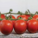 50 Seeds Chadwick Cherry Tomato Juicy Tomatoe Vegetable Garden Edible Food Fresh For Garden