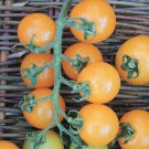 50 Seeds Cerise Orange Tomato Juicy Tomatoe Vegetable Garden Edible Food Fresh For Garden