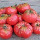50 Seeds Caspian Pink Tomato Juicy Tomatoe Vegetable Garden Edible Food Fresh For Garden