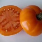 50 Seeds Caro Rich Tomato Juicy Tomatoe Vegetable Garden Edible Food Fresh For Garden