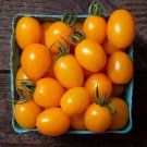 50 Seeds Cannellino Tomato Juicy Tomatoe Vegetable Garden Edible Food Fresh For Garden