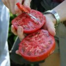 50 Seeds Caiman Tomato Juicy Tomatoe Vegetable Garden Edible Food Fresh For Garden