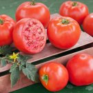 50 Seeds Bh Goliath Tomato Juicy Tomatoe Vegetable Garden Edible Food Fresh For Garden 50 Seeds Bh Goliath Tomato Juicy Tomatoe Vegetable Garden Edible Food Fresh For Garden