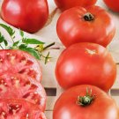 50 Seeds Bh Big Boy Tomato Juicy Tomatoe Vegetable Garden Edible Food Fresh For Garden 50 Seeds Bh Big Boy Tomato Juicy Tomatoe Vegetable Garden Edible Food Fresh For Garden