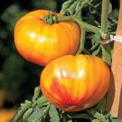 50 Seeds Buffalosun Hybrid Tomato Juicy Tomatoe Vegetable Garden Edible Food Fresh For Garden