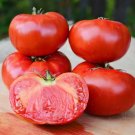 50 Seeds Buffalo Steak Tomato Juicy Tomatoe Vegetable Garden Edible Food Fresh For Garden