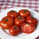 50 Seeds Buckbees New Fifty Day Tomato Juicy Tomatoe Vegetable Garden Edible Fresh For Garden 50 Seeds Buckbees New Fifty Day Tomato Juicy Tomatoe Vegetable Garden Edible Fresh For Garden