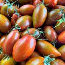 50 Seeds Bronze Torch Tomato Juicy Tomatoe Vegetable Garden Edible Food Fresh For Garden