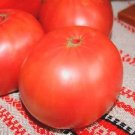 50 Seeds Brave General Tomato Juicy Tomatoe Vegetable Garden Edible Food Fresh For Garden