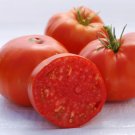 50 Seeds Brandywine Red Tomato Juicy Tomatoe Vegetable Garden Edible Food Fresh For Garden 50 Seeds Brandywine Red Tomato Juicy Tomatoe Vegetable Garden Edible Food Fresh For Garden